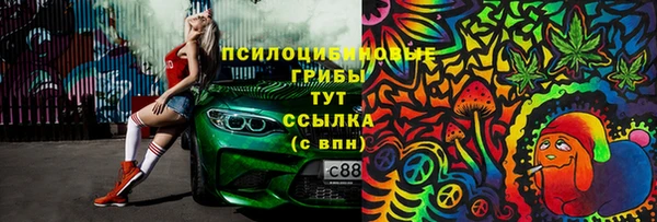 прущие крисы Алзамай