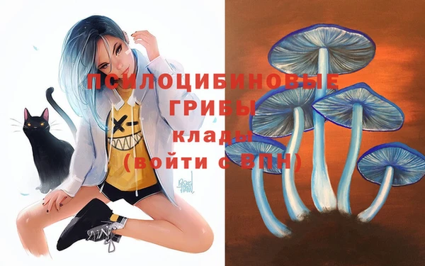 прущие крисы Алзамай