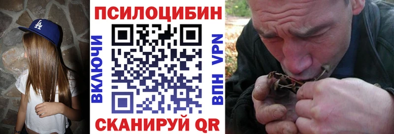Галлюциногенные грибы Psilocybe  кракен ONION  Коркино 