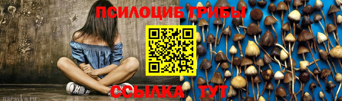 Псилоцибиновые грибы мицелий Коркино
