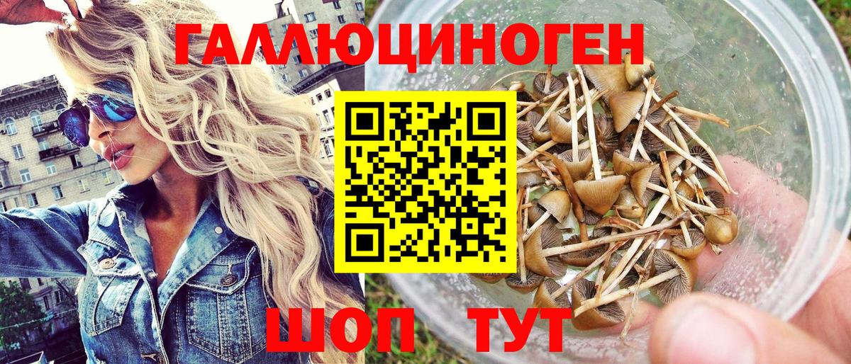 Коркино  Псилоцибиновые грибы прущие грибы  Псилоцибиновые грибы GOLDEN TEACHER  Вход с VPN 